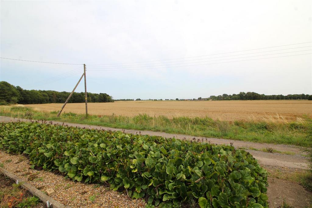 Field views.JPG
