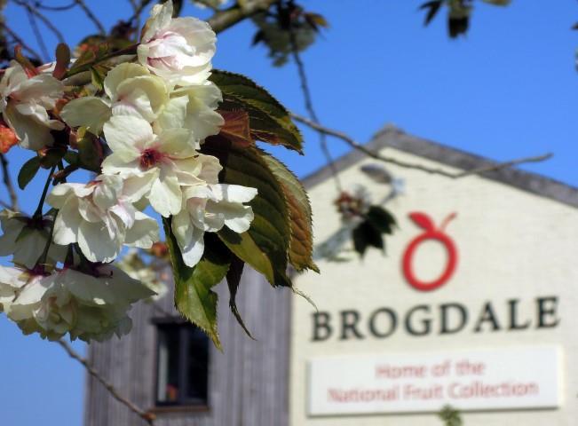 Brogdale-collections-karen-louise (Small).jpg
