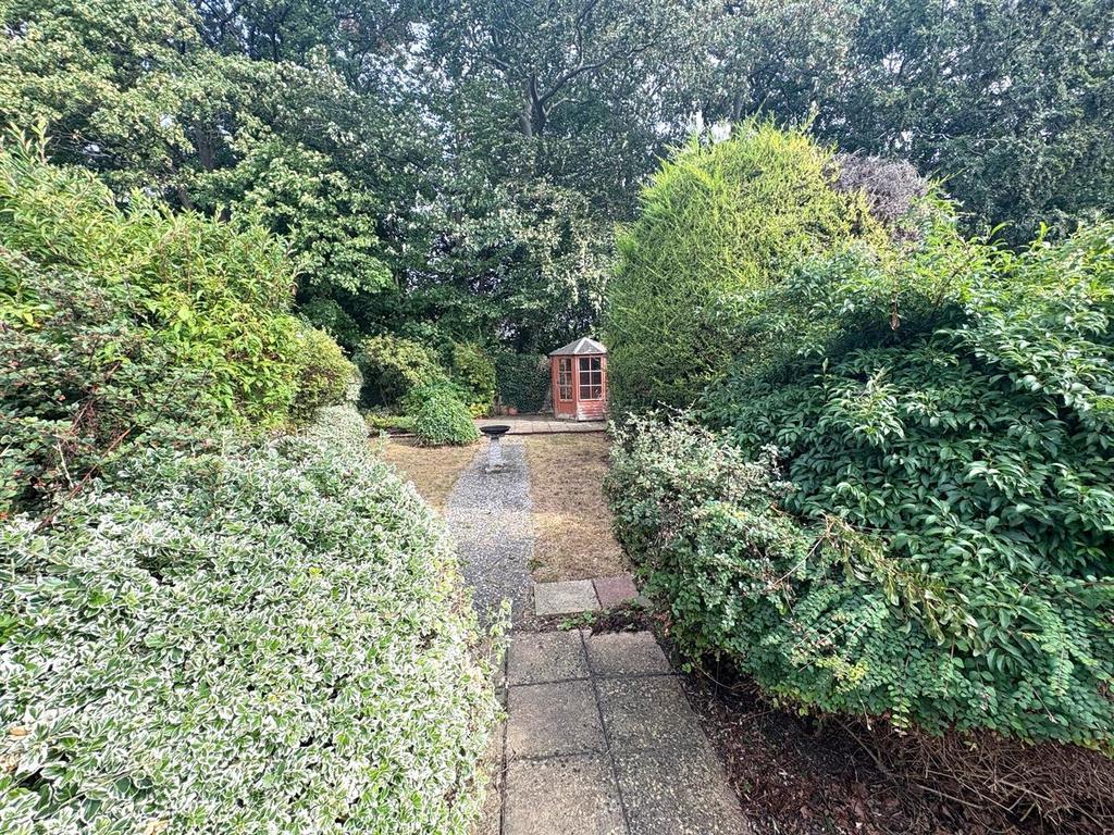 IMG 0240.jpg