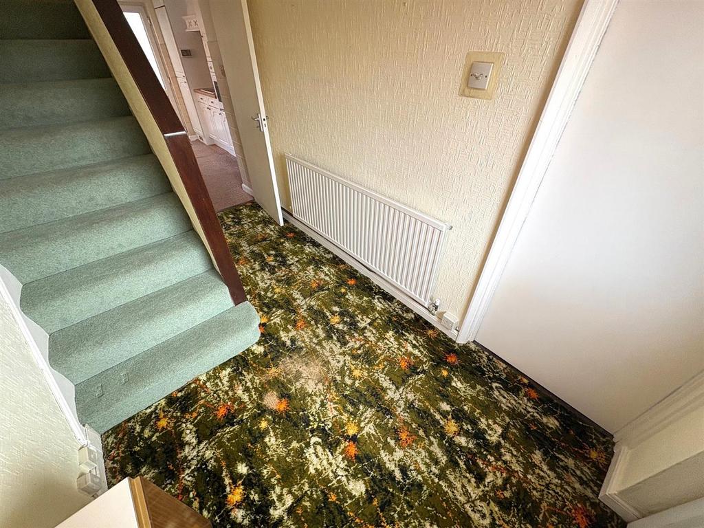 IMG 0233.jpg