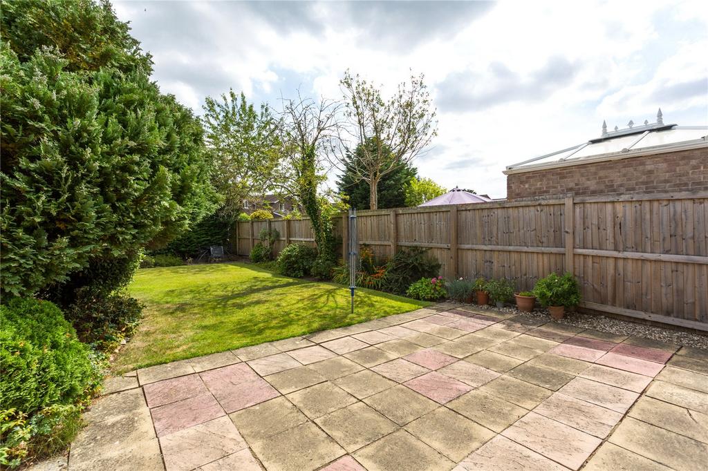 Photos