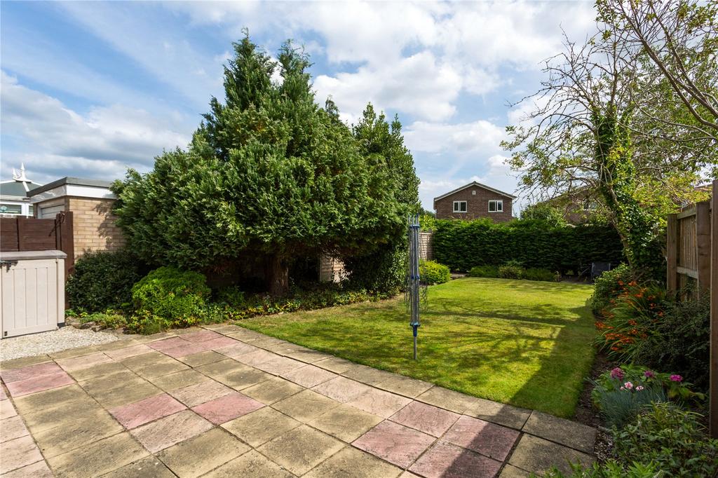 Photos