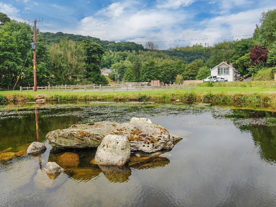 The Grounds