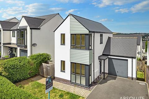 Hollyhock Way, Paignton, TQ4