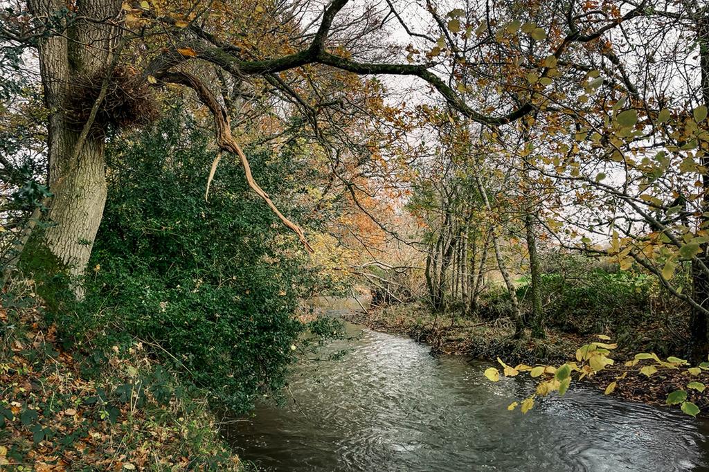 292519 - JAYS 12.6.25 River-1[4].jpeg