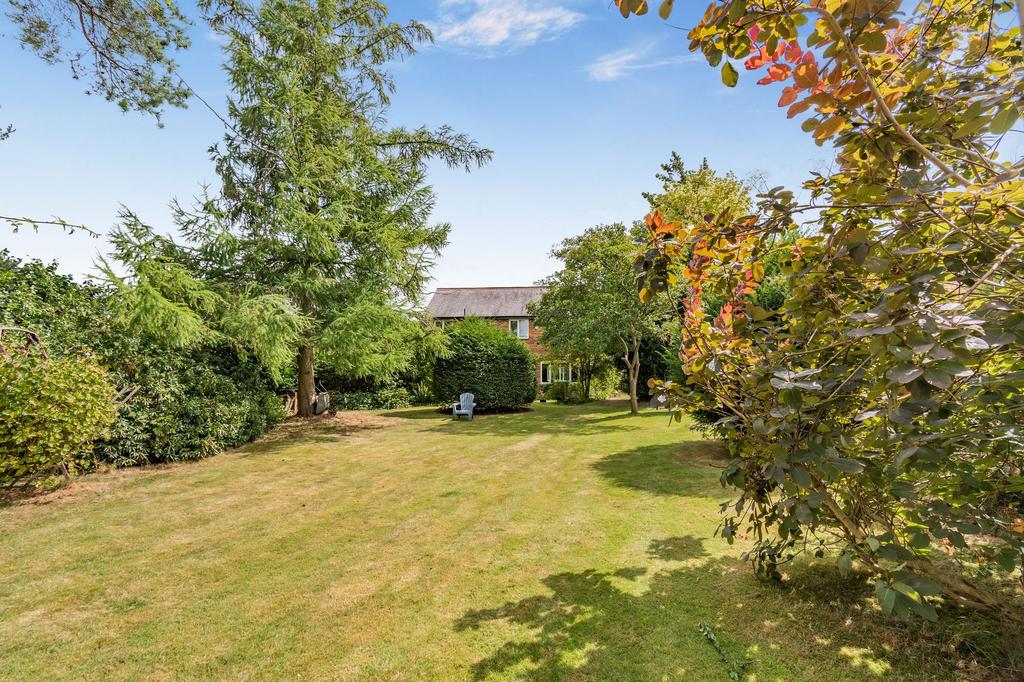 Garden to rear