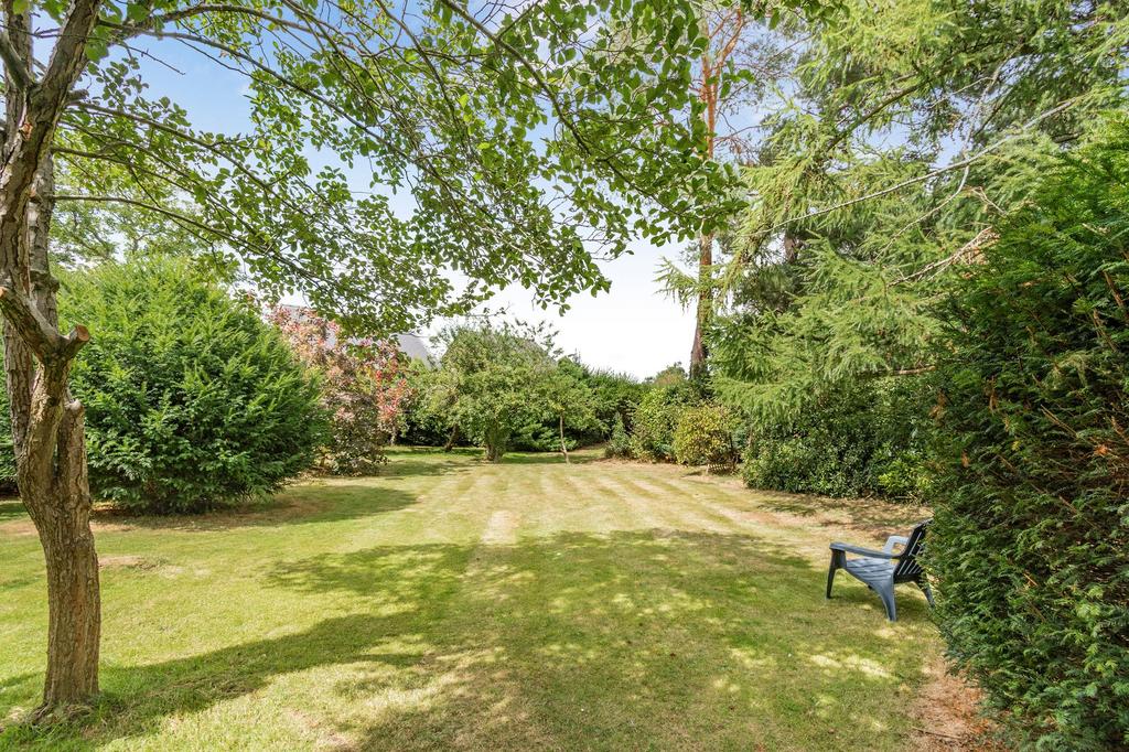 Garden to rear