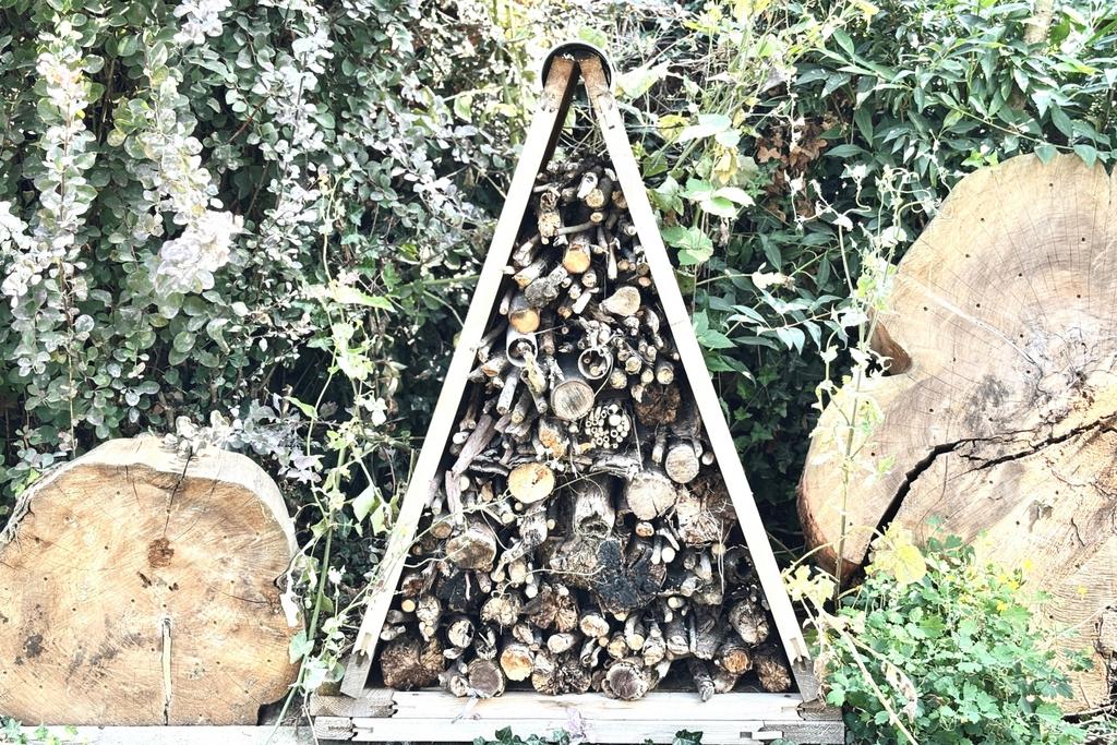 Beehive