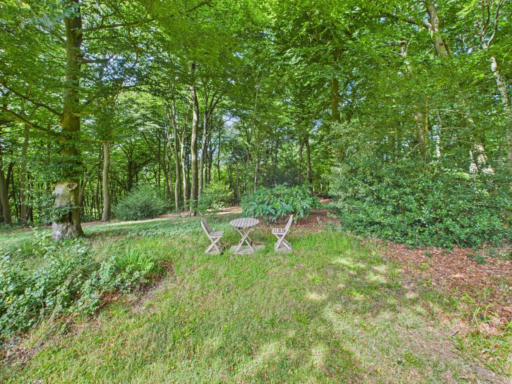 Woodland