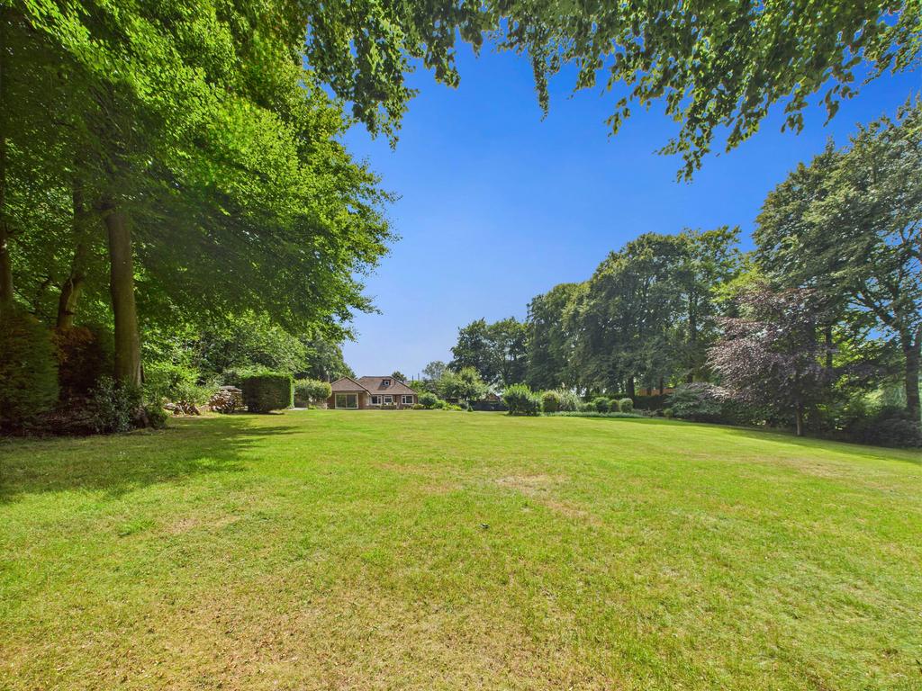 Garden 1