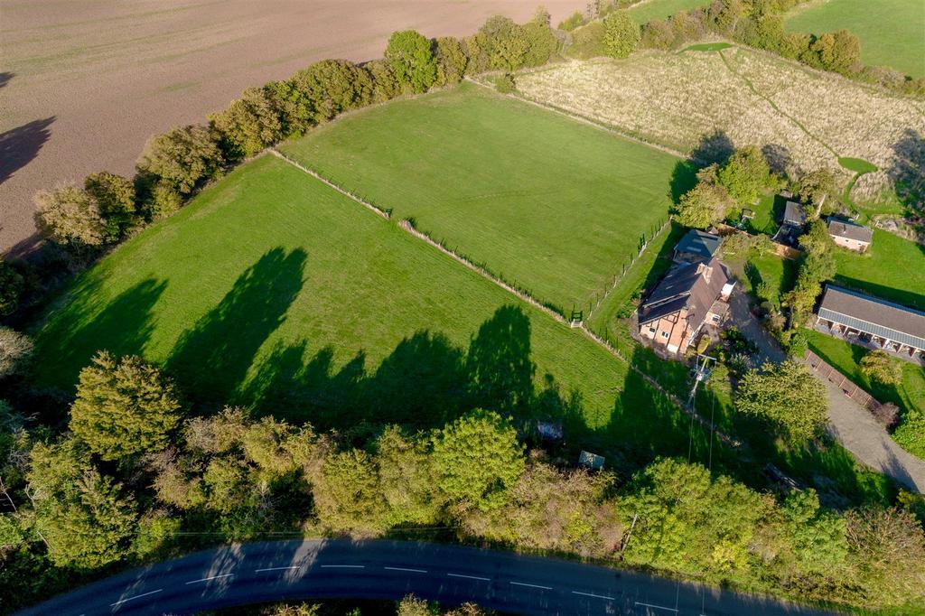 DJI 0595.jpg
