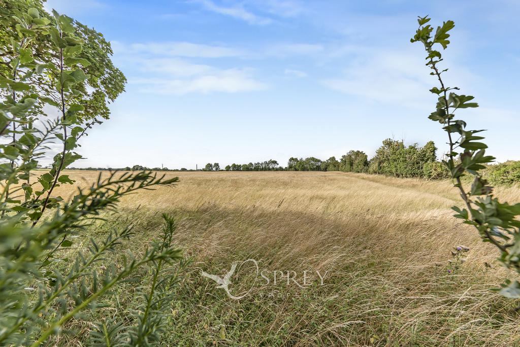 Countryside Views
