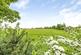 Additional image 27 of Woodnewton Road, Northamptonshire, PE8 PE8