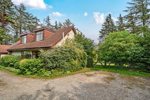 undefined, Llansannan DENBIGHSHIRE