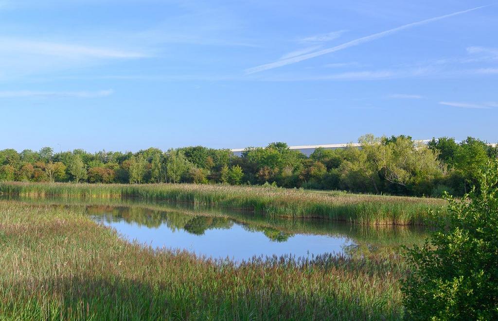 Lake.jpg