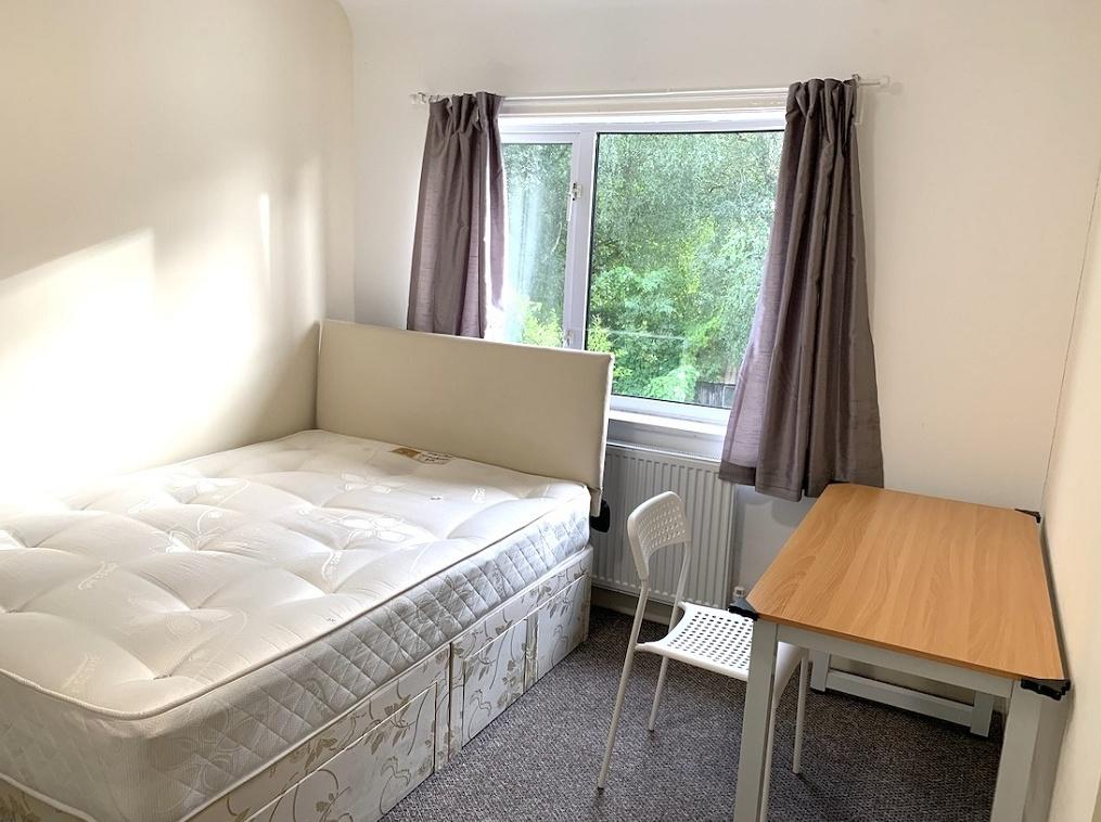 Bright and tidy single bedroom featuring a comf...