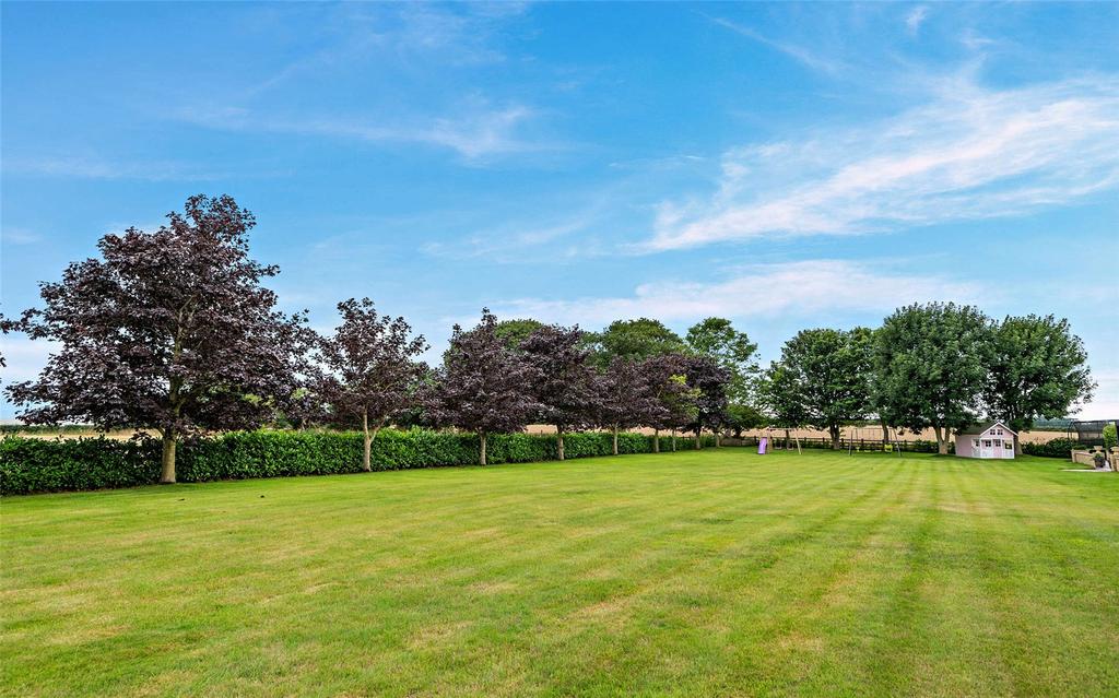 Grounds