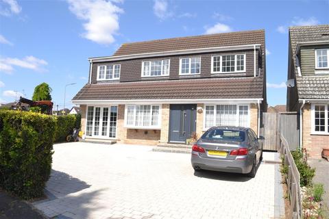 Petersfield, Chelmsford