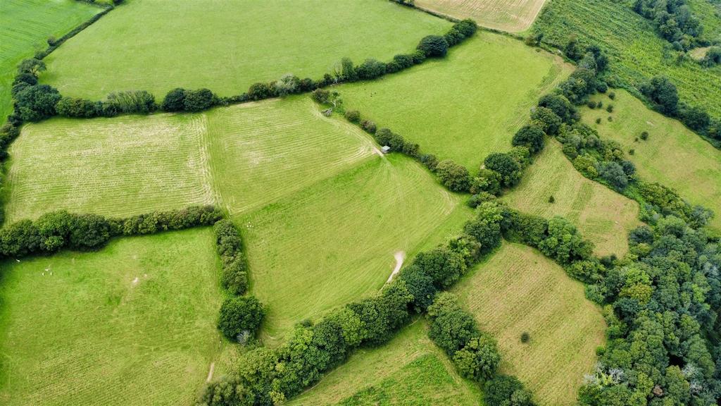 Dji fly 20250806 134228 534 1754524489217 photo op