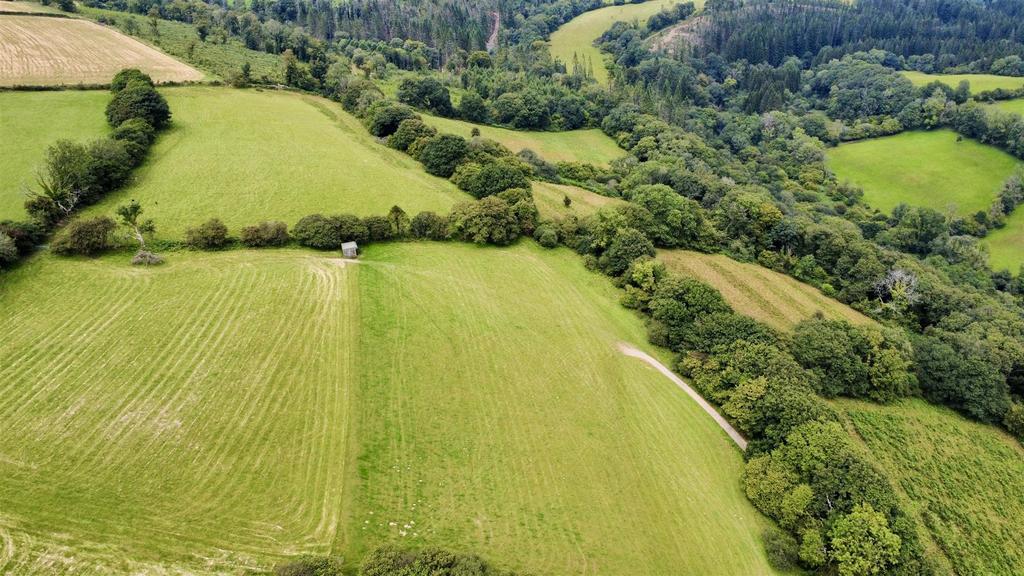 Dji fly 20250806 133746 519 1754524496194 photo op