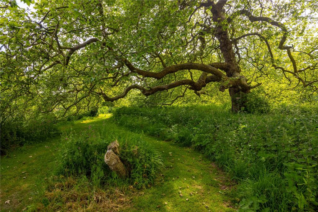 Grounds
