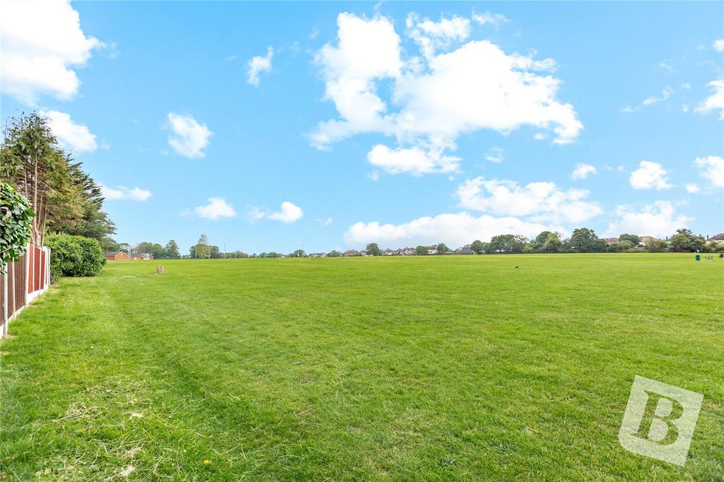 Field Views