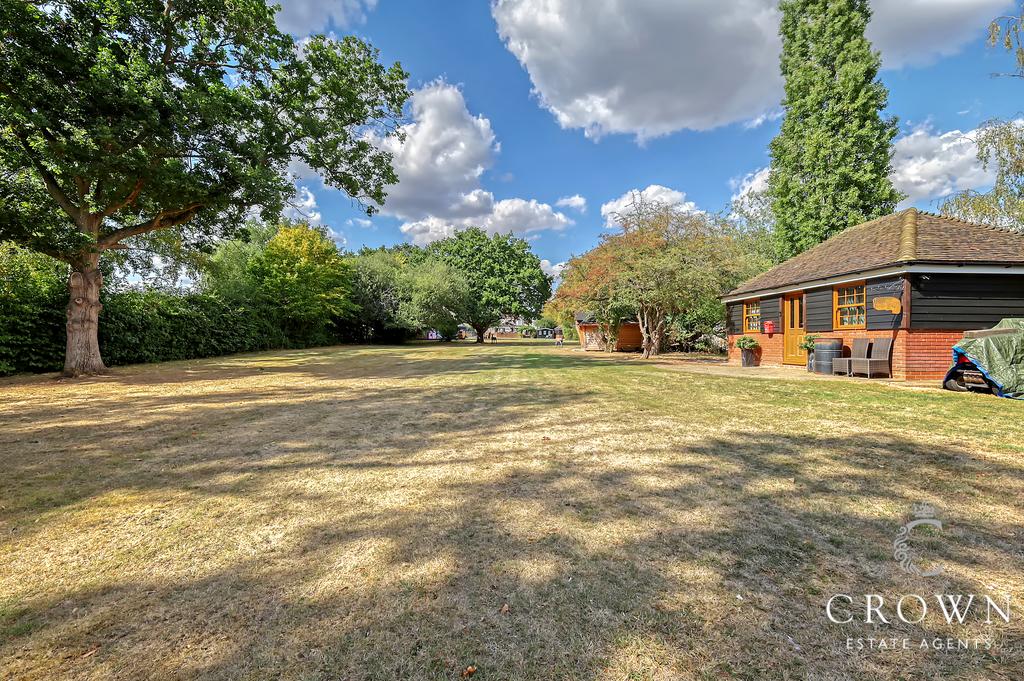 Mature Rear Garden with trees shrubs and plants