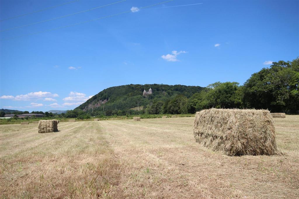 Img 3037.jpg