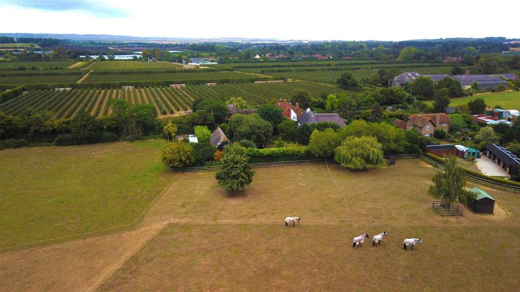 DJI 00101 - Brightened Up.jpg