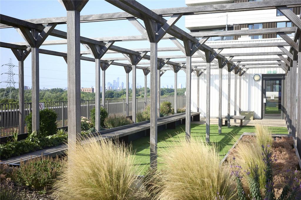 Roof Terrace