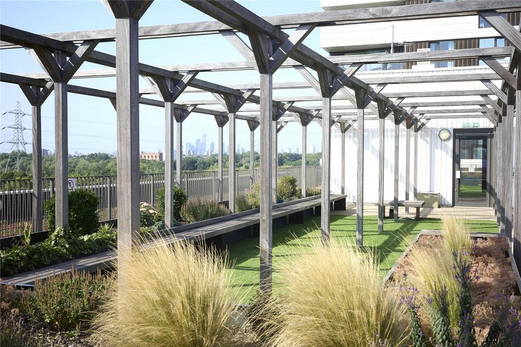 Room Terrace