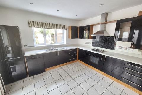 undefined, Erwr Brenhinoedd, Ammanford SA18