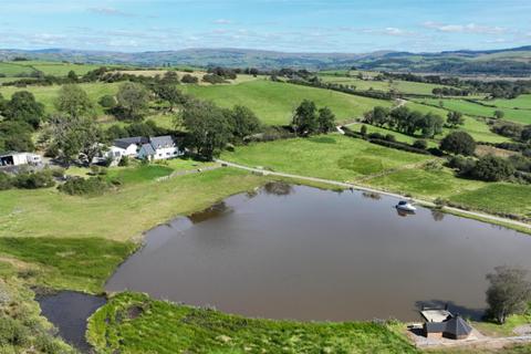 undefined, Tynreithyn, Tregaron