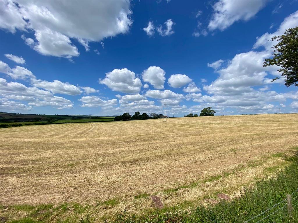 The Land