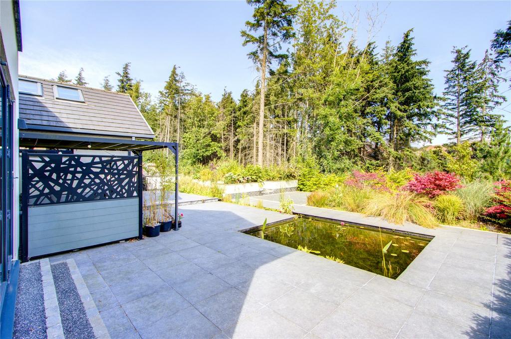 Pond Area