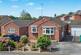 Wollaton Paddocks, Nottingham