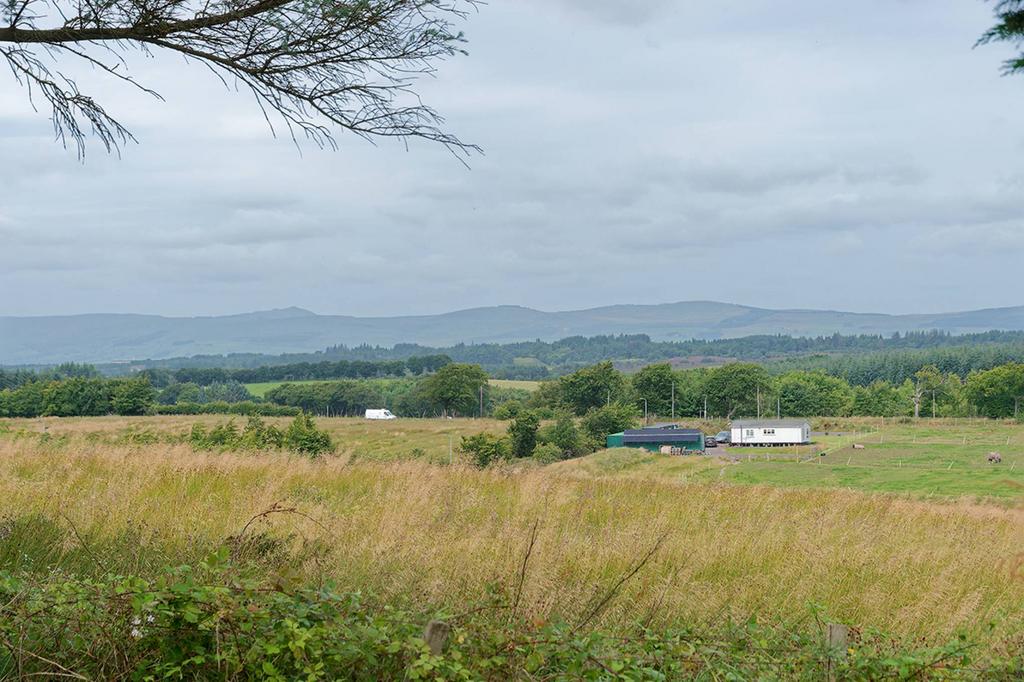 MFL8241016 134.jpg