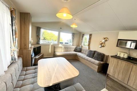 undefined, Glade, Bideford Bay Holiday Park Buck