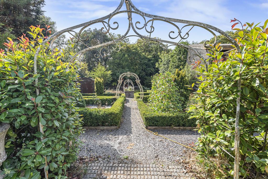 Vegetable Garden