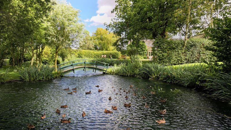 Feature Pond