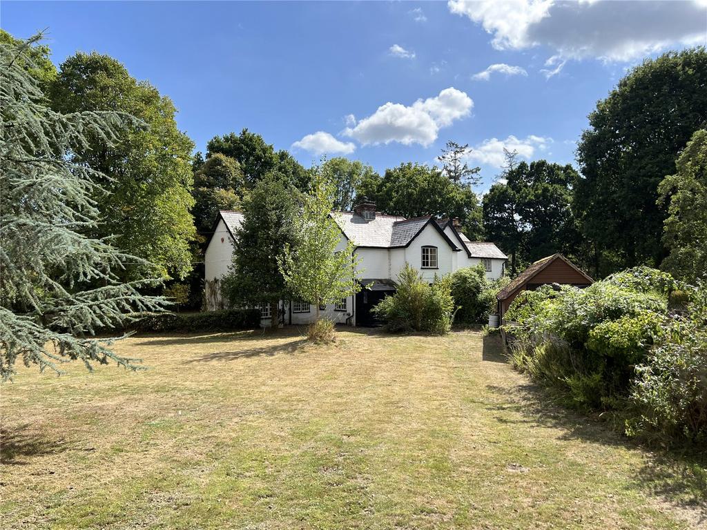 The Property