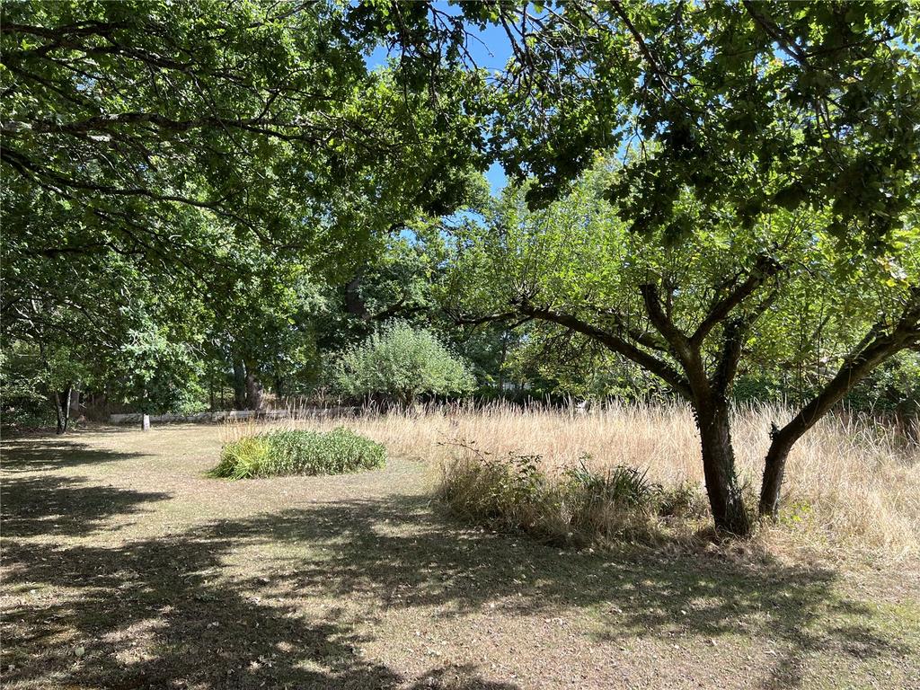 The Orchard