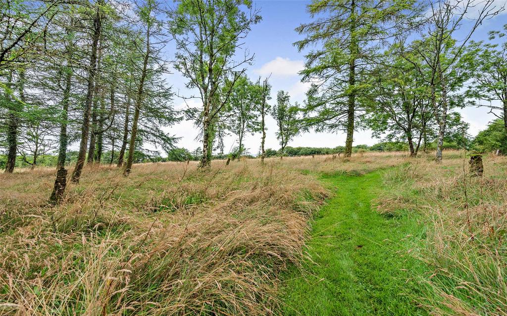 The Land