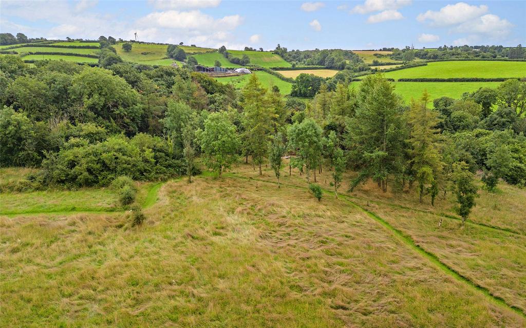 The Land