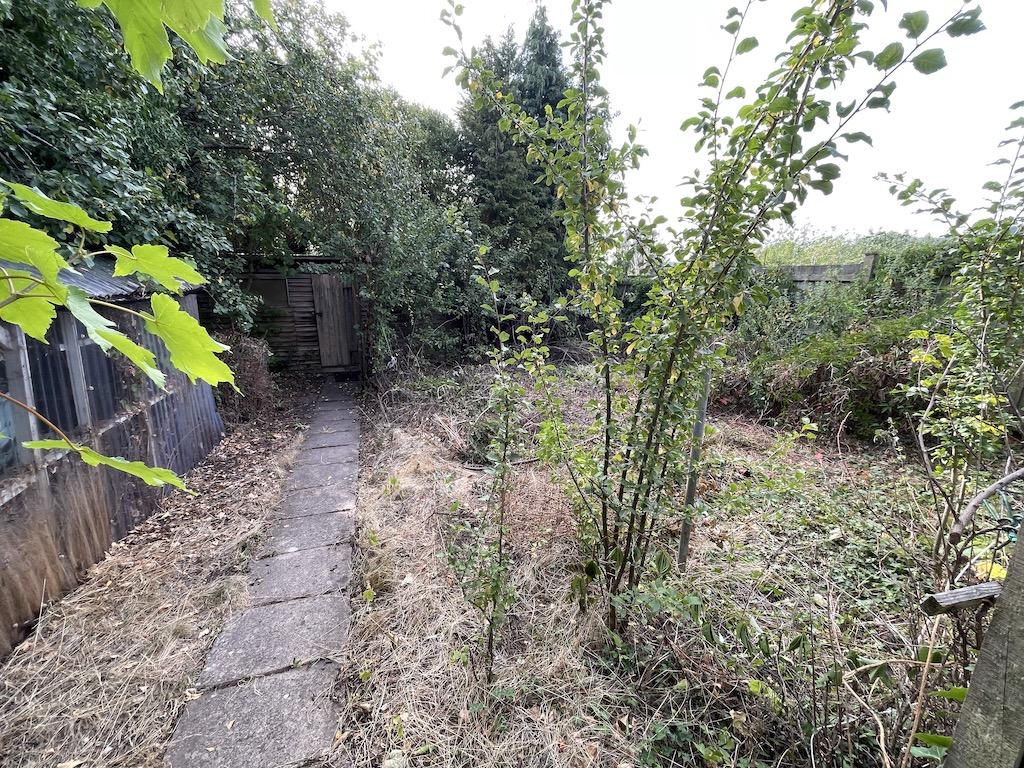 Image 14
