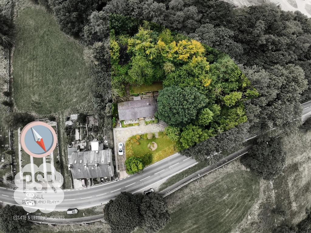 Plot Overview