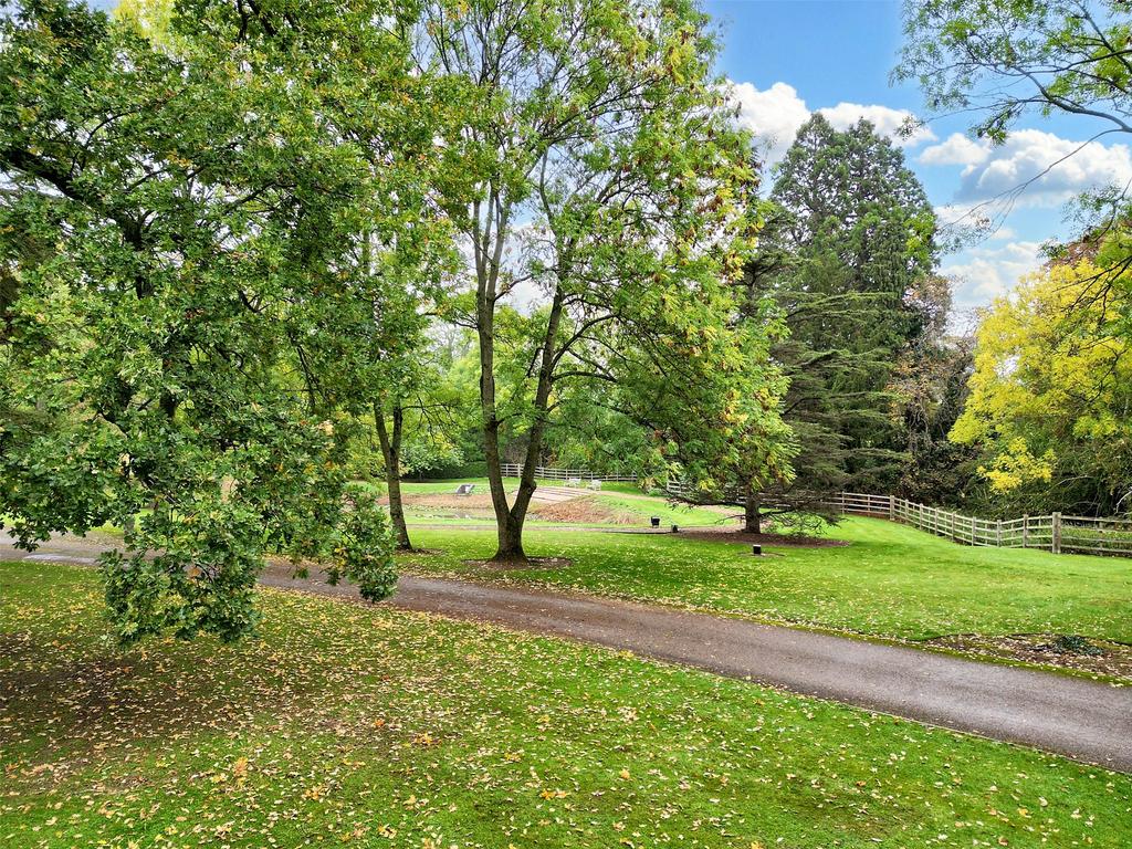 Grounds