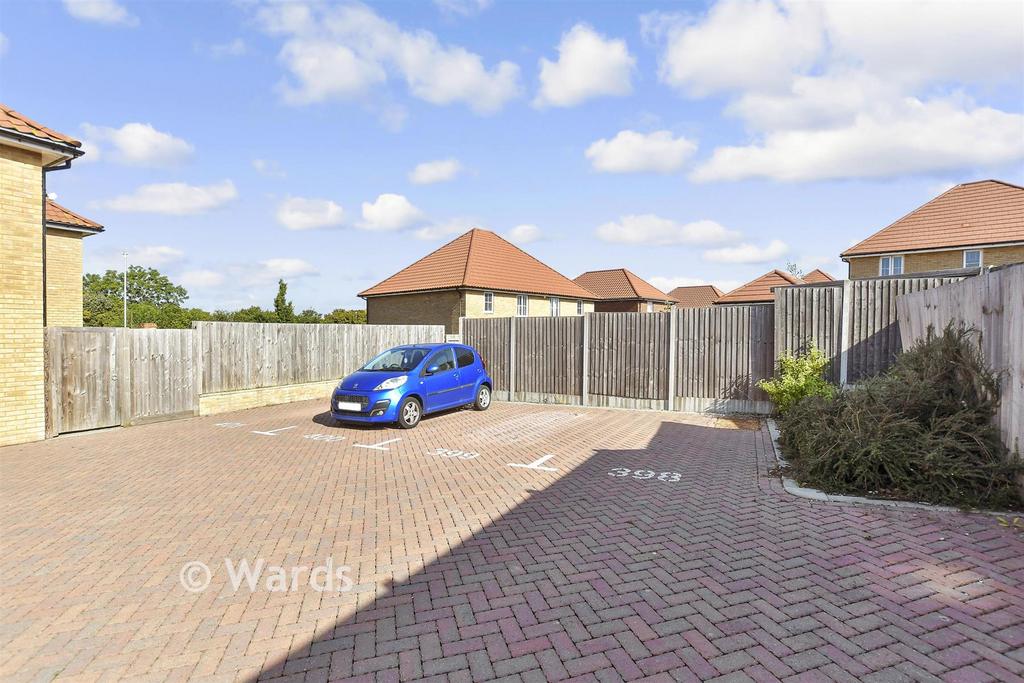 Driveway/Parking