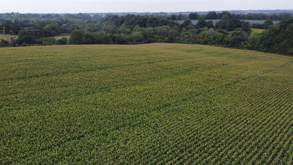 Dji fly 20250811 102646 281 1754904623254 photo op