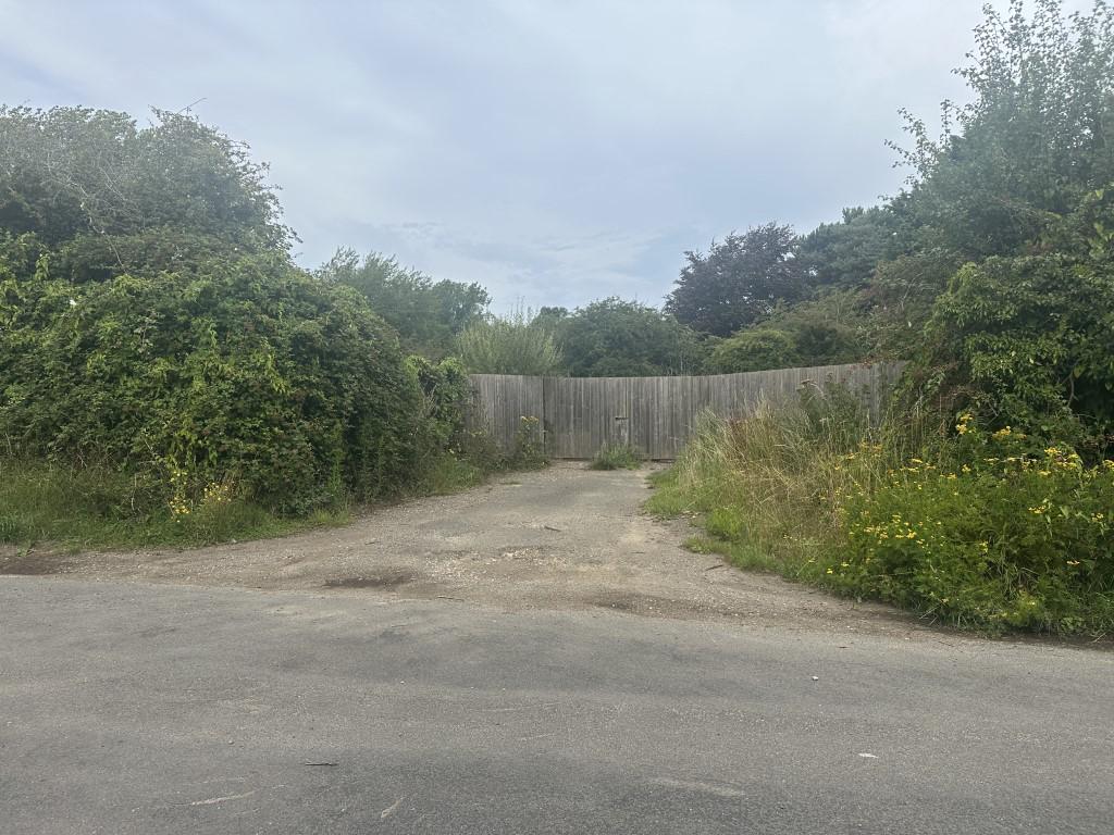 1  Medium  T202508131644.jpg
